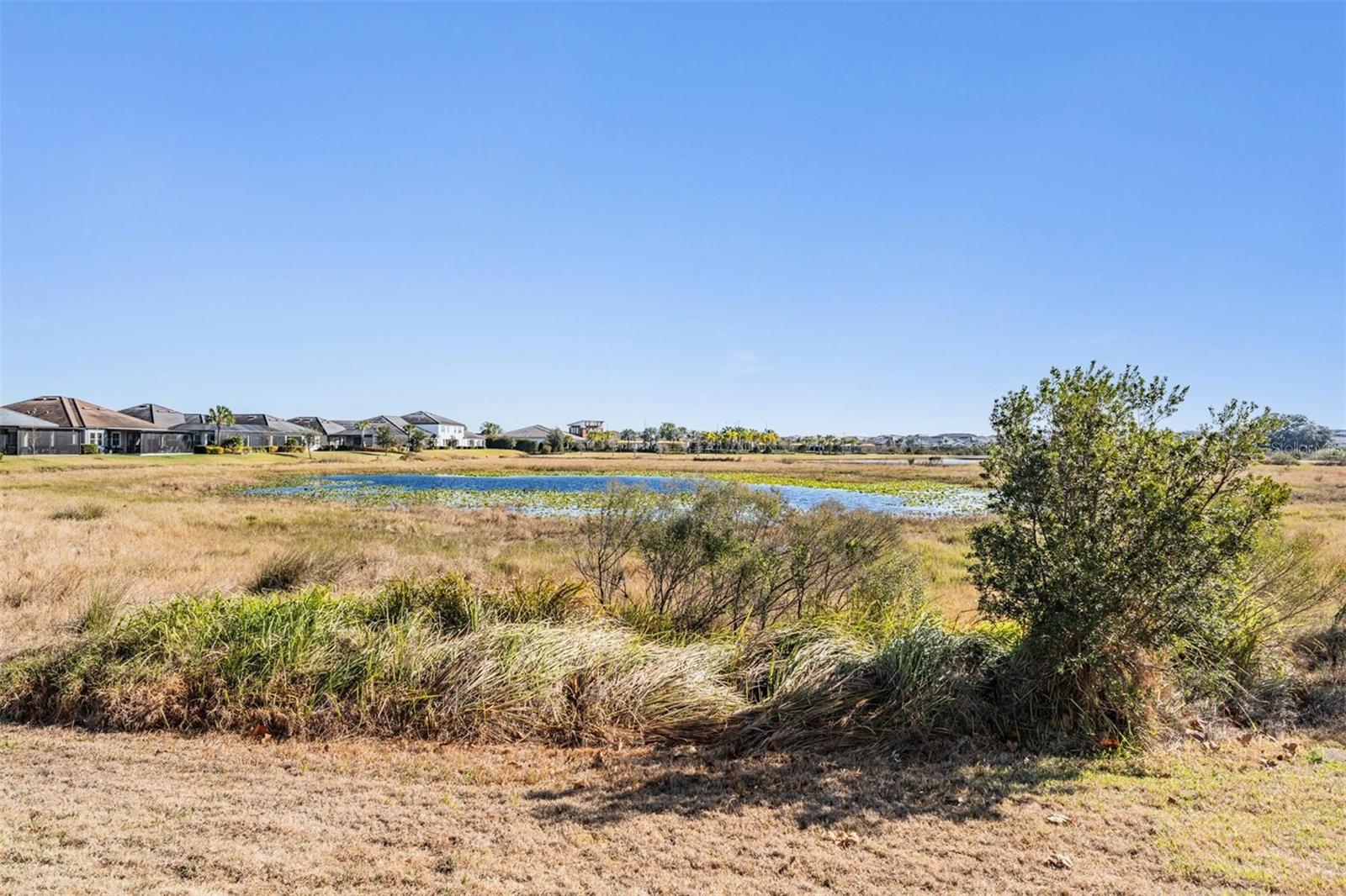 10474 ECHO DOCK LOOP, SAN ANTONIO, FL, 33576