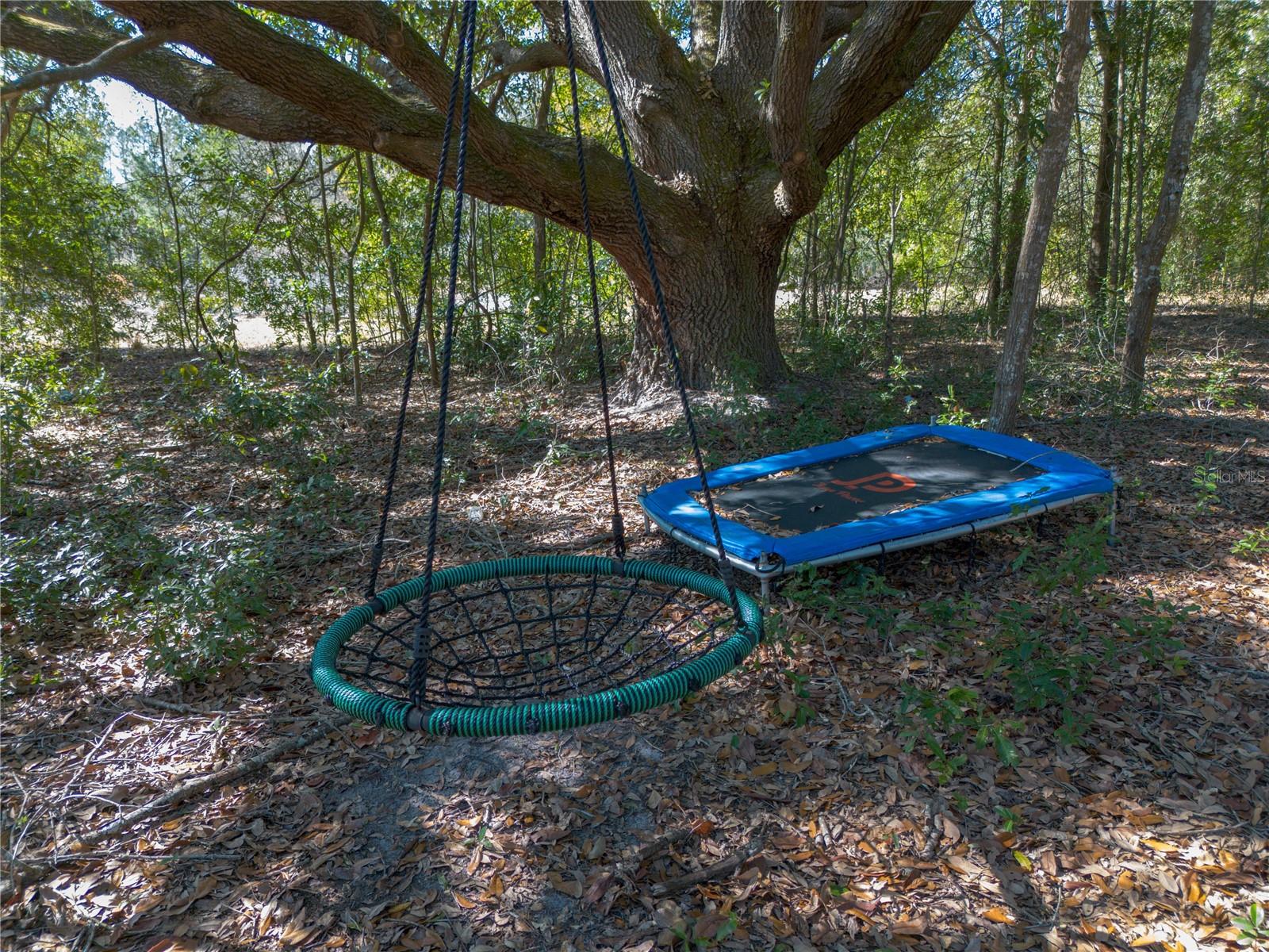 12456 155TH PL, LIVE OAK, FL, 32060