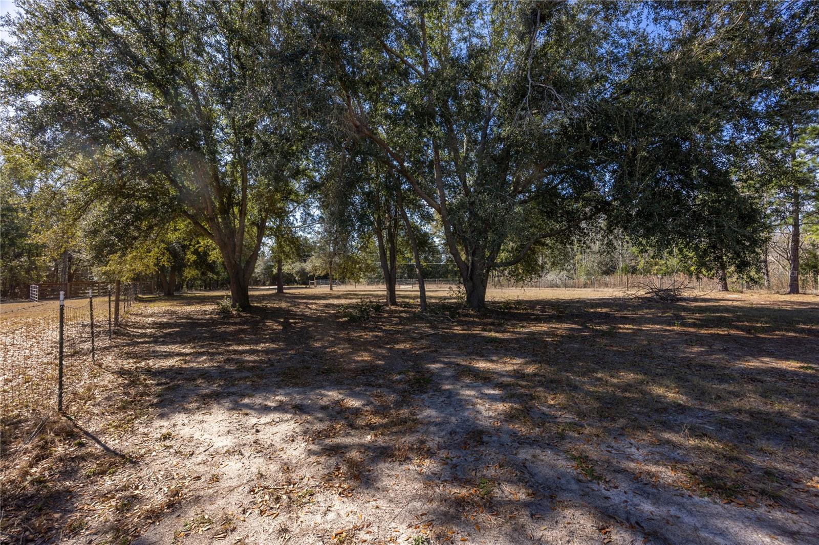 12456 155TH PL, LIVE OAK, FL, 32060