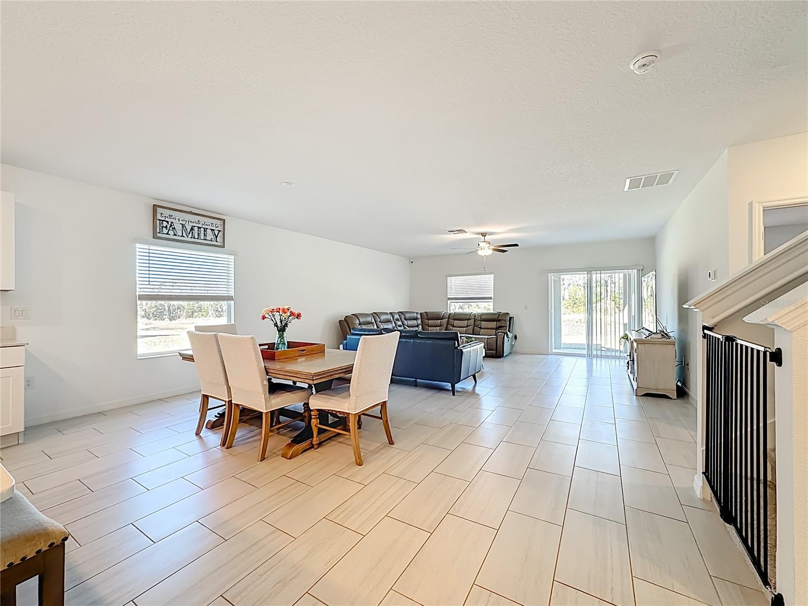 Kitchen/Dining Room/Living Room  combo