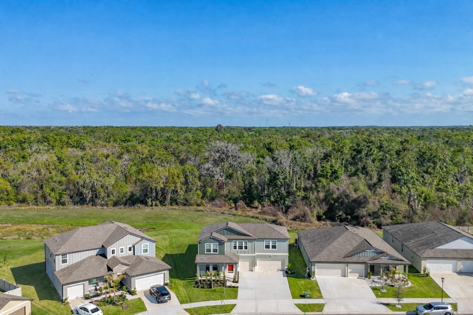 Oversized lot with conservation view