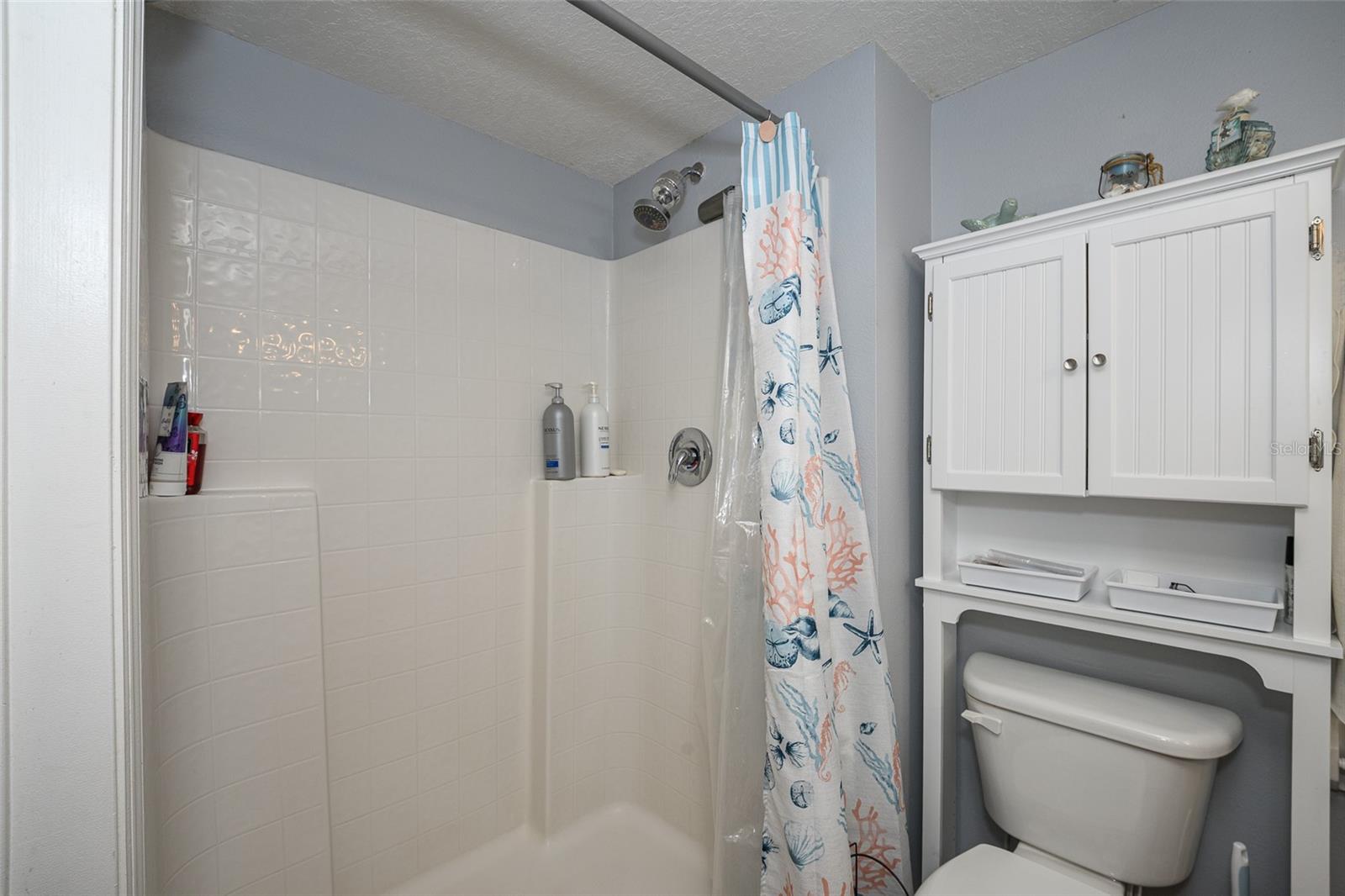 220 BIRD OF PARADISE DR, PALM COAST, FL, 32137