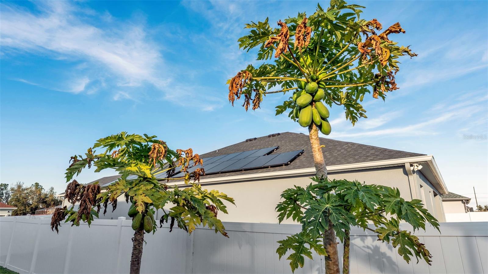 330 TRAVELERS CREEK DR, AUBURNDALE, FL, 33823