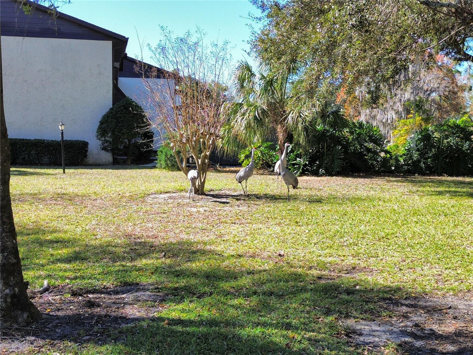 512 FAIRWAYS CIR #A, OCALA, FL, 34472