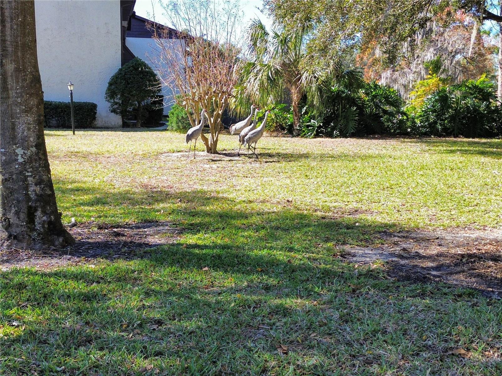 512 FAIRWAYS CIR #A, OCALA, FL, 34472