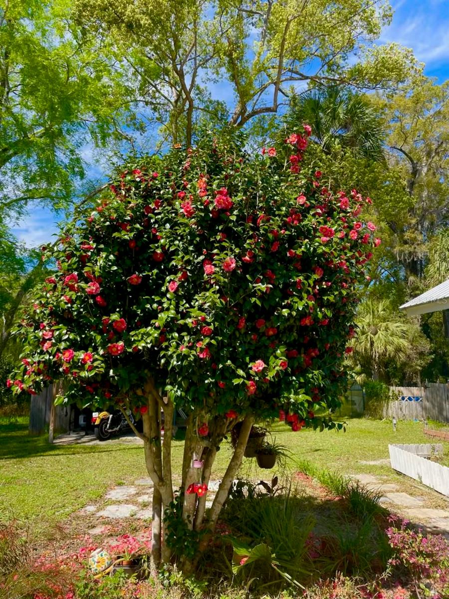 18708 NW 242ND ST, HIGH SPRINGS, FL, 32643