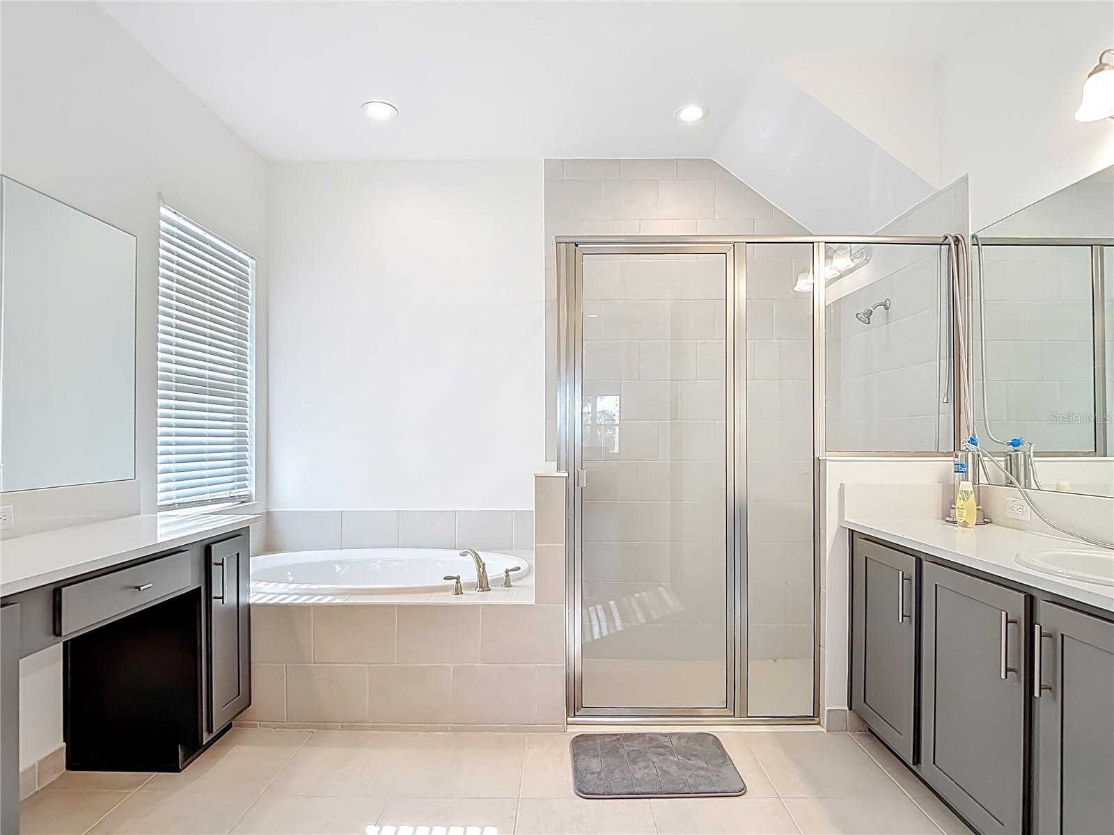 32676 TREE OF LIFE AVE, WESLEY CHAPEL, FL, 33543