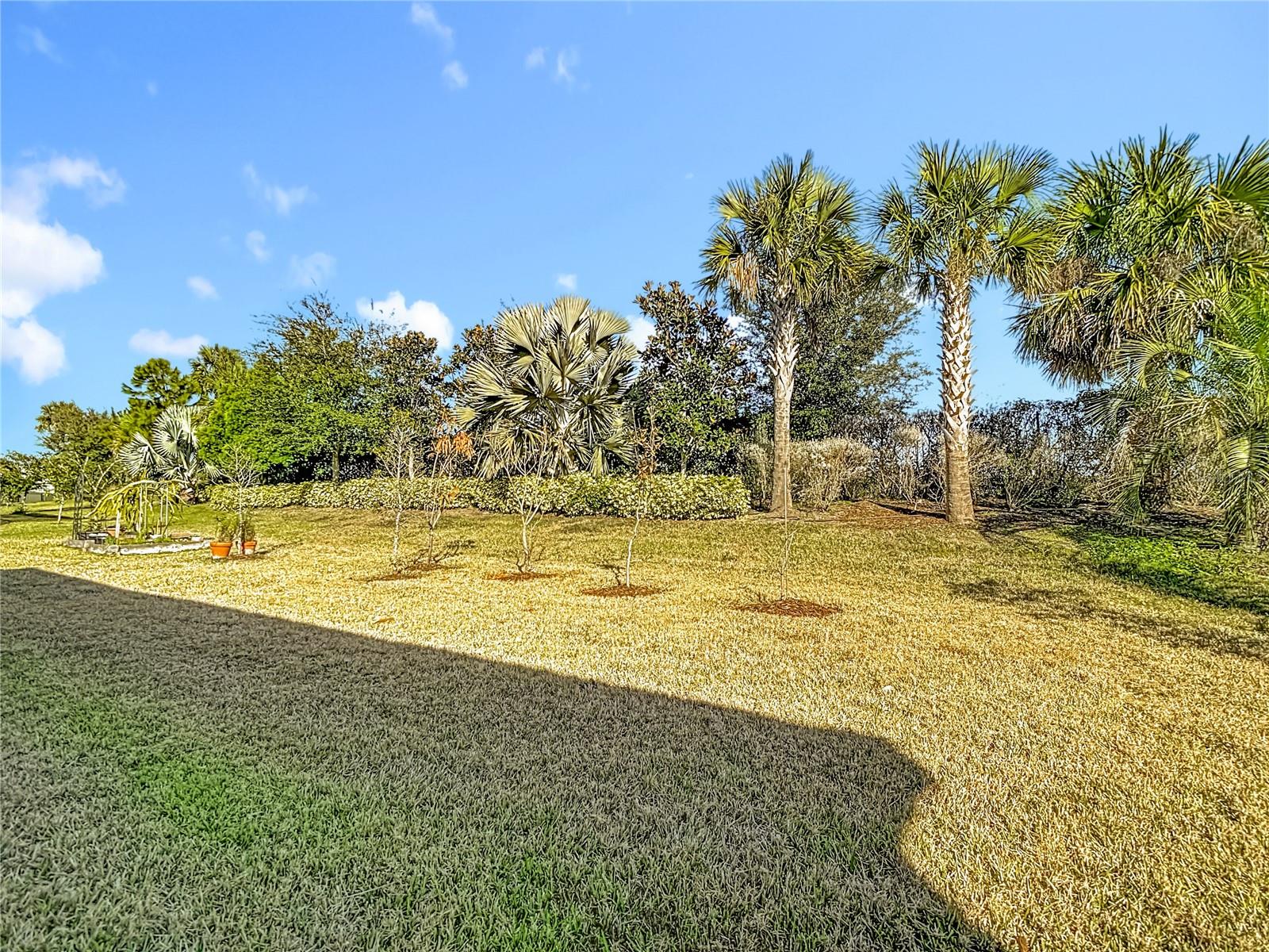 32676 TREE OF LIFE AVE, WESLEY CHAPEL, FL, 33543