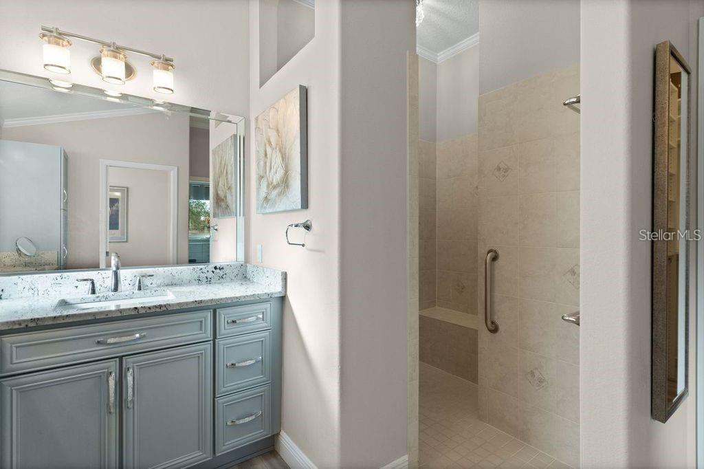 749 ABERDEEN RUN, THE VILLAGES, FL, 32162