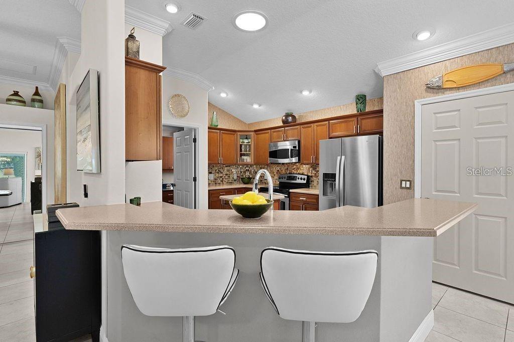 749 ABERDEEN RUN, THE VILLAGES, FL, 32162