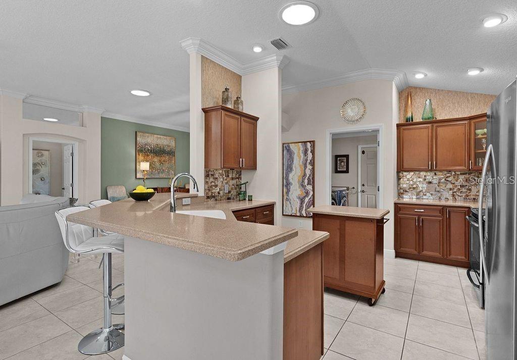 749 ABERDEEN RUN, THE VILLAGES, FL, 32162