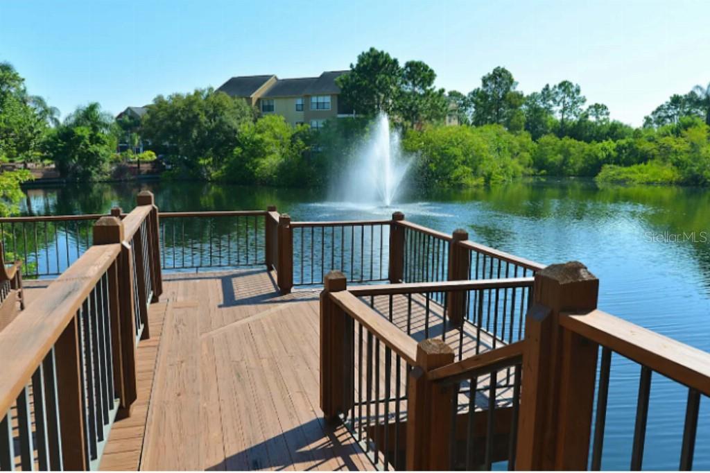 11901 4TH ST N #3101, ST PETERSBURG, FL, 33716