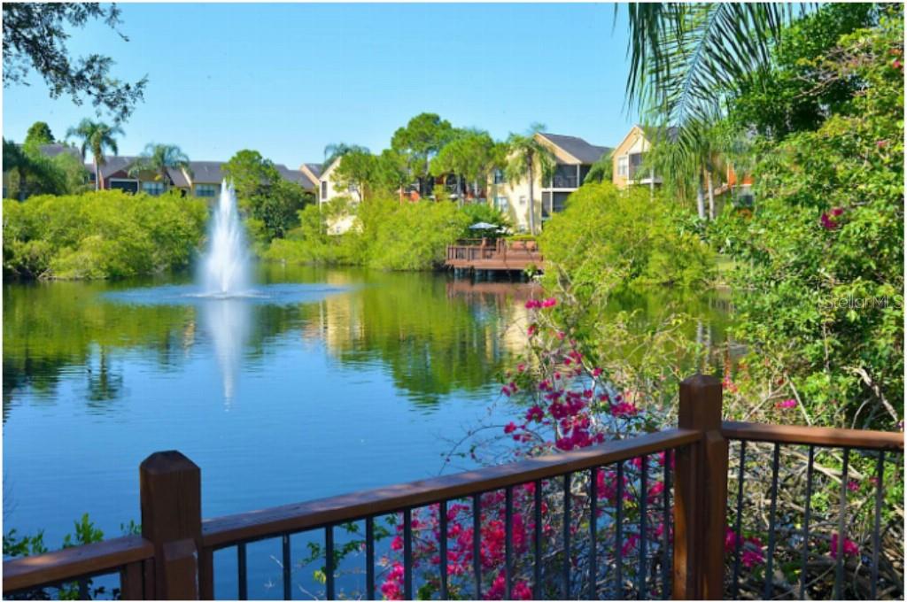 11901 4TH ST N #3101, ST PETERSBURG, FL, 33716