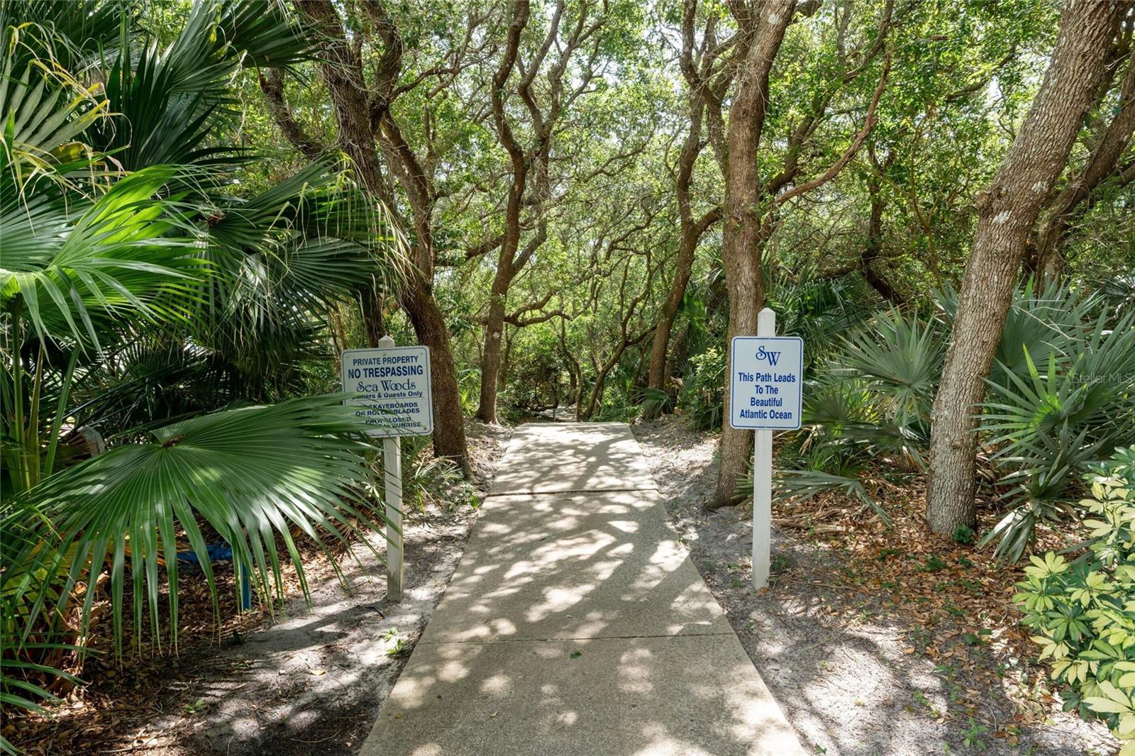 4401 SEA MIST DR #202, NEW SMYRNA BEACH, FL, 32169