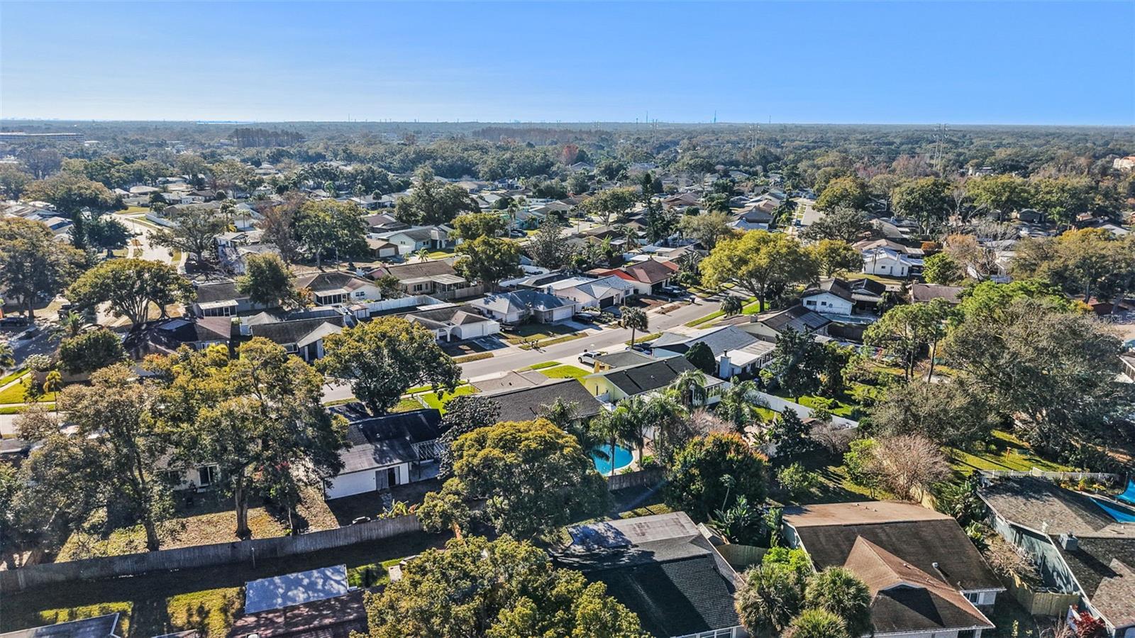 1768 W GROVELEAF AVE, PALM HARBOR, FL, 34683