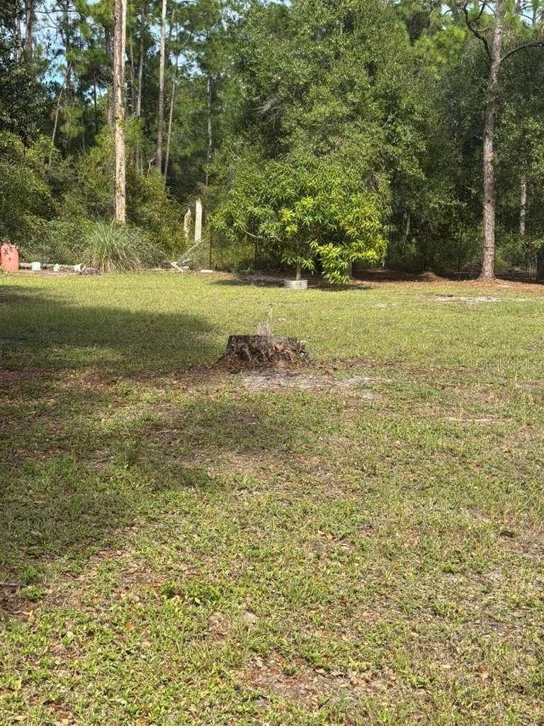 415 N VERDA ST, CLEWISTON, FL, 33440