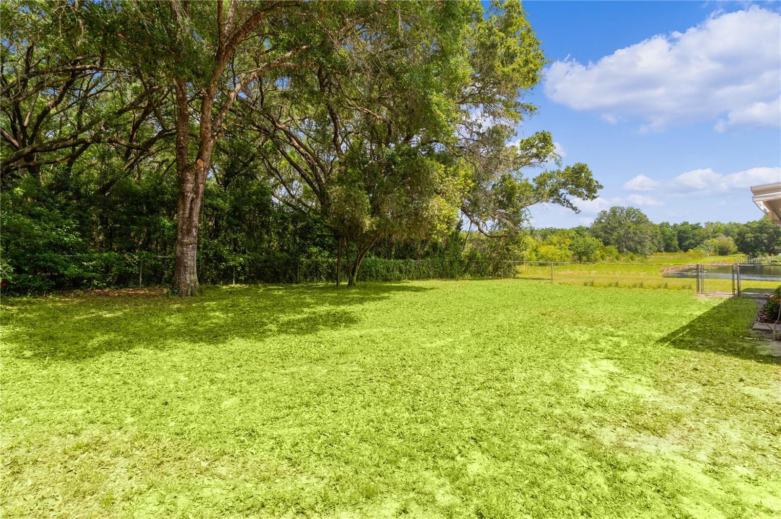 302 IVANHOE CIR, LADY LAKE, FL, 32159