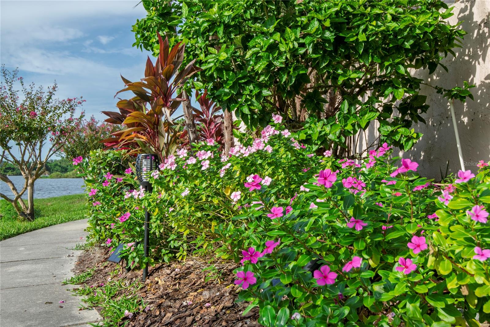 1007 S BAYSHORE BLVD #107, SAFETY HARBOR, FL, 34695