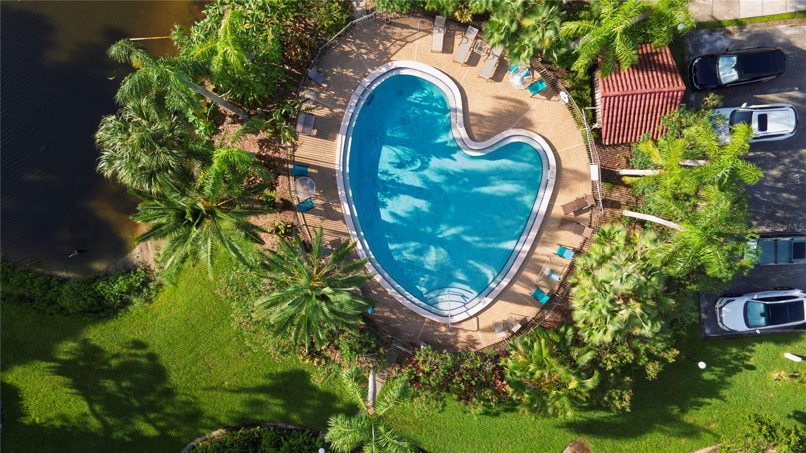 1007 S BAYSHORE BLVD #107, SAFETY HARBOR, FL, 34695