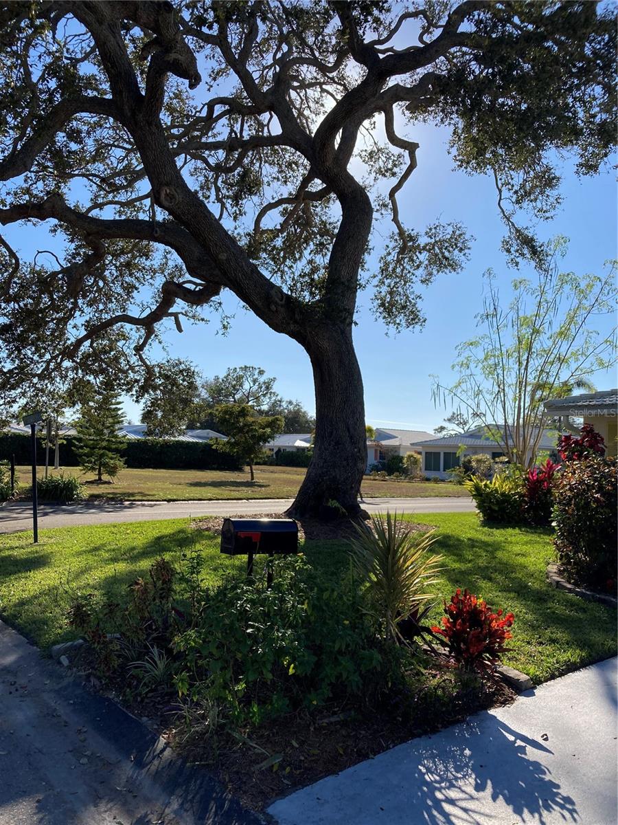 801 FAIR WINDS DR #801, NOKOMIS, FL, 34275