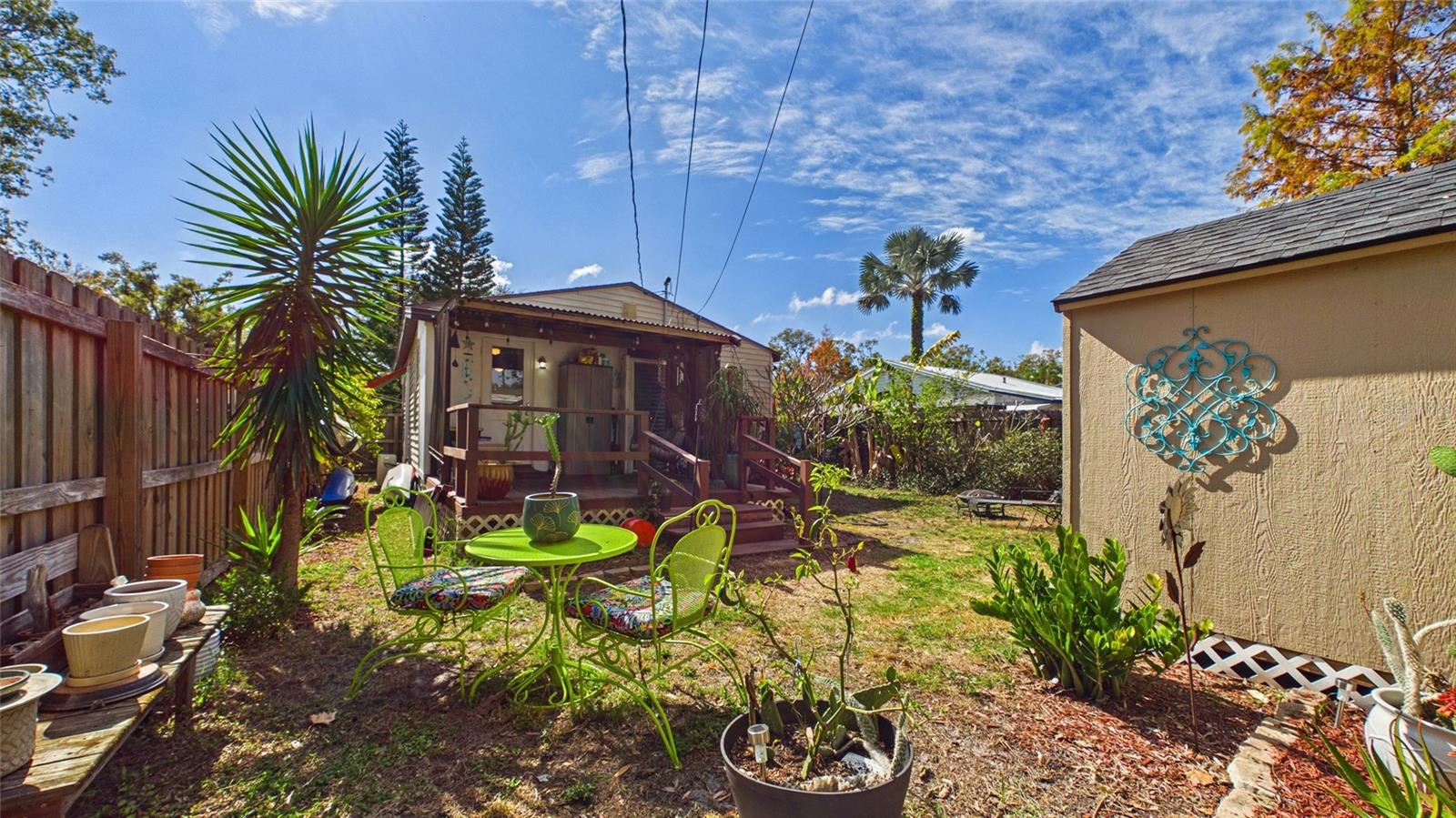Florida native and fruiting pants
