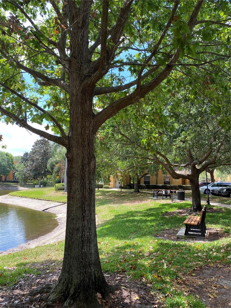 8848 VILLA VIEW CIR #1, ORLANDO, FL, 32821