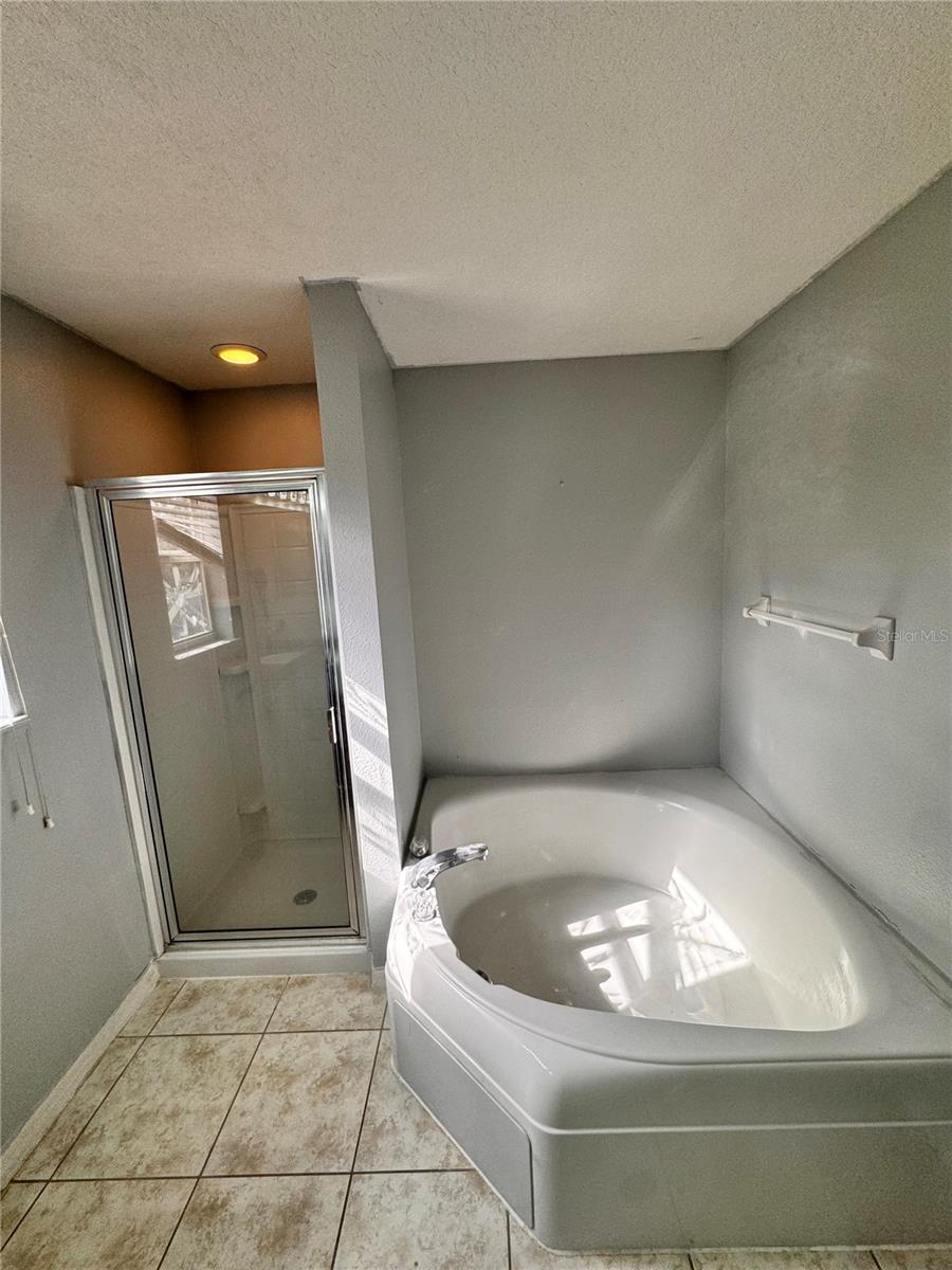 877 SCRUB JAY WAY, DAVENPORT, FL, 33896