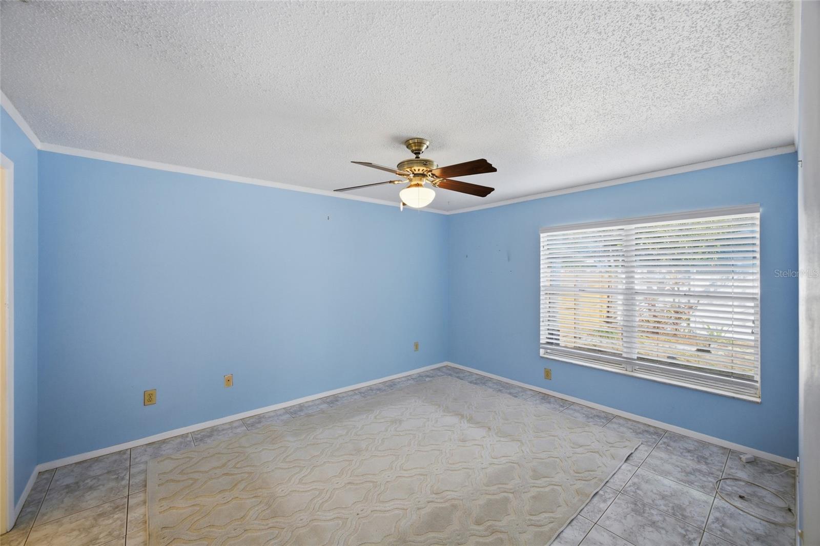 5903 BIRCHWOOD DR, TAMPA, FL, 33625