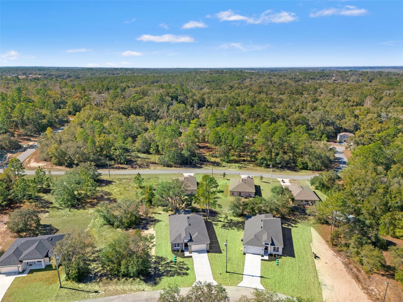 11810 N PROVIDENCE WAY, CITRUS SPRINGS, FL, 34433