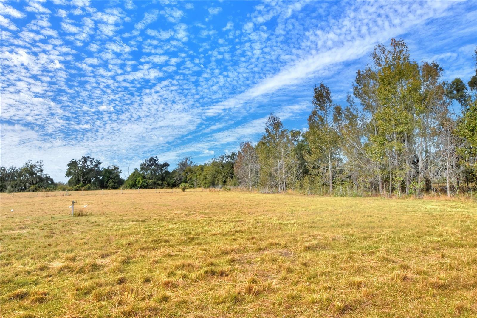 COLDING LOOP, WIMAUMA, FL, 33598