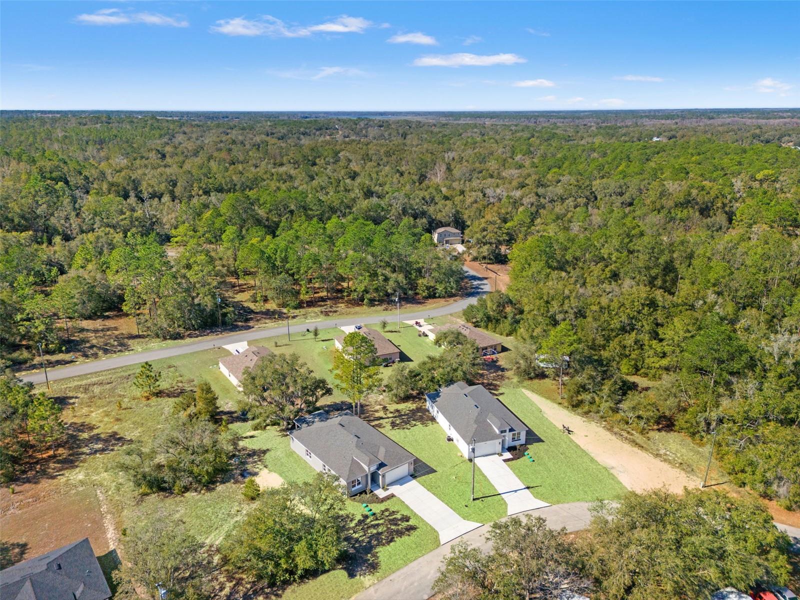 11838 N PROVIDENCE WAY, CITRUS SPRINGS, FL, 34433