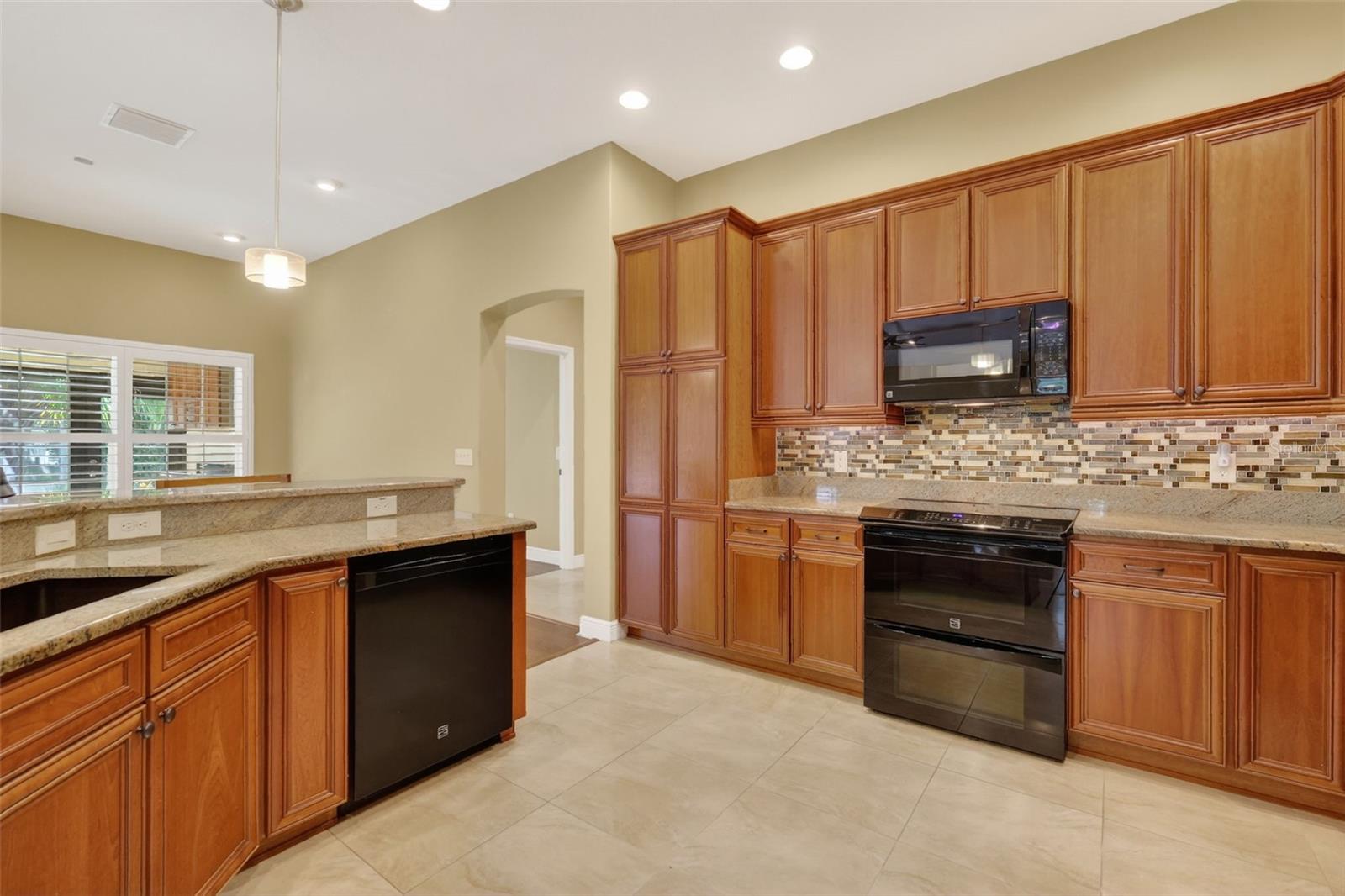 1326 BRINKLEY LN, THE VILLAGES, FL, 32163