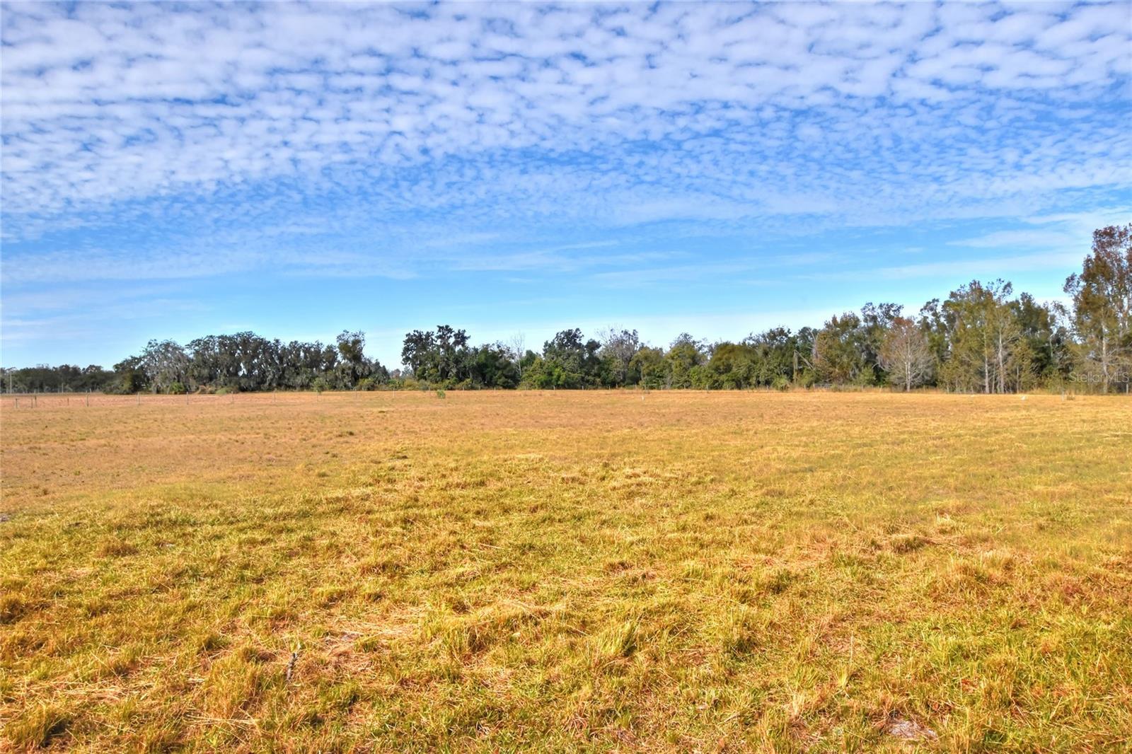 COLDING LOOP, WIMAUMA, FL, 33598