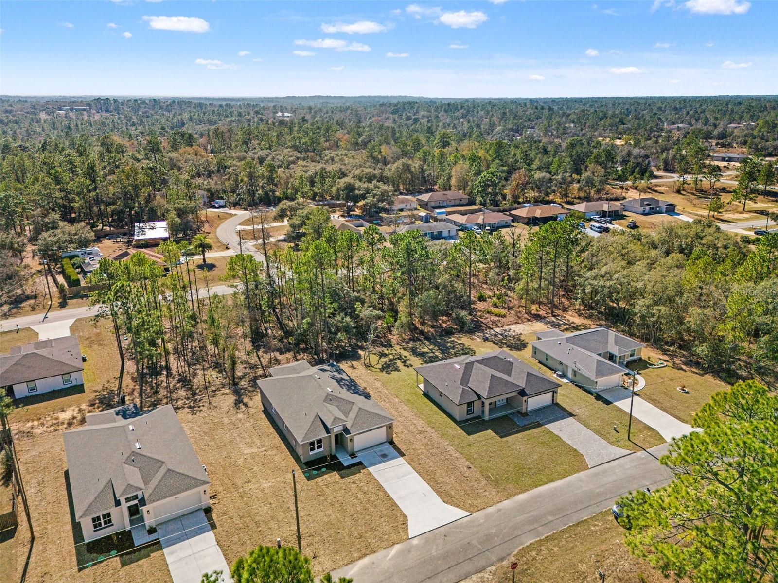 2978 W HIGGINS PL, DUNNELLON, FL, 34433