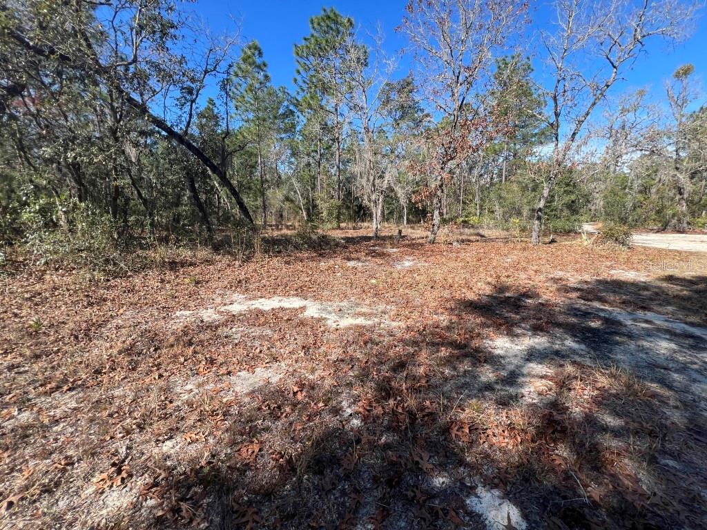 556 COUNTY ROAD 219, MELROSE, FL, 32666