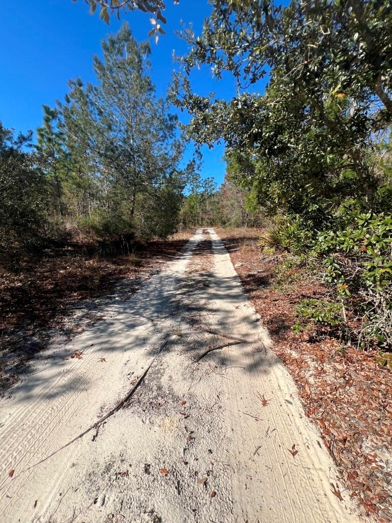 556 COUNTY ROAD 219, MELROSE, FL, 32666