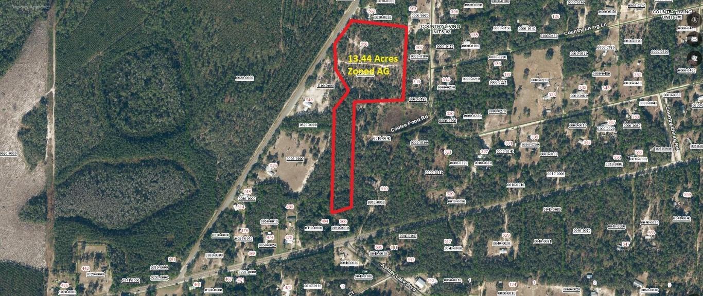 556 COUNTY ROAD 219, MELROSE, FL, 32666