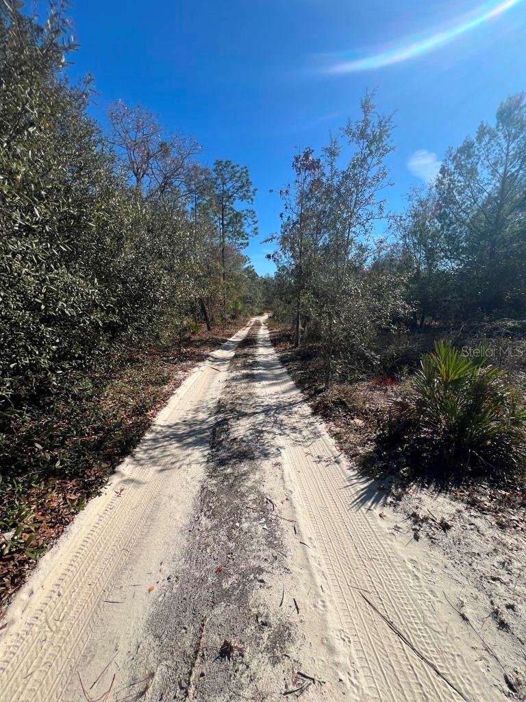 556 COUNTY ROAD 219, MELROSE, FL, 32666