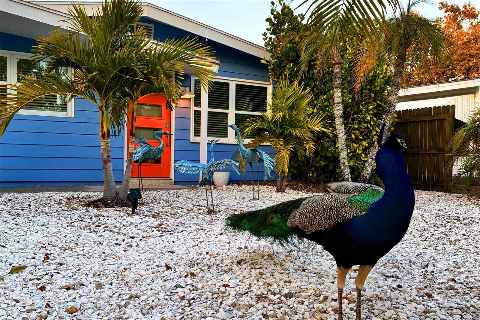 821 41ST ST, SARASOTA, FL, 34234