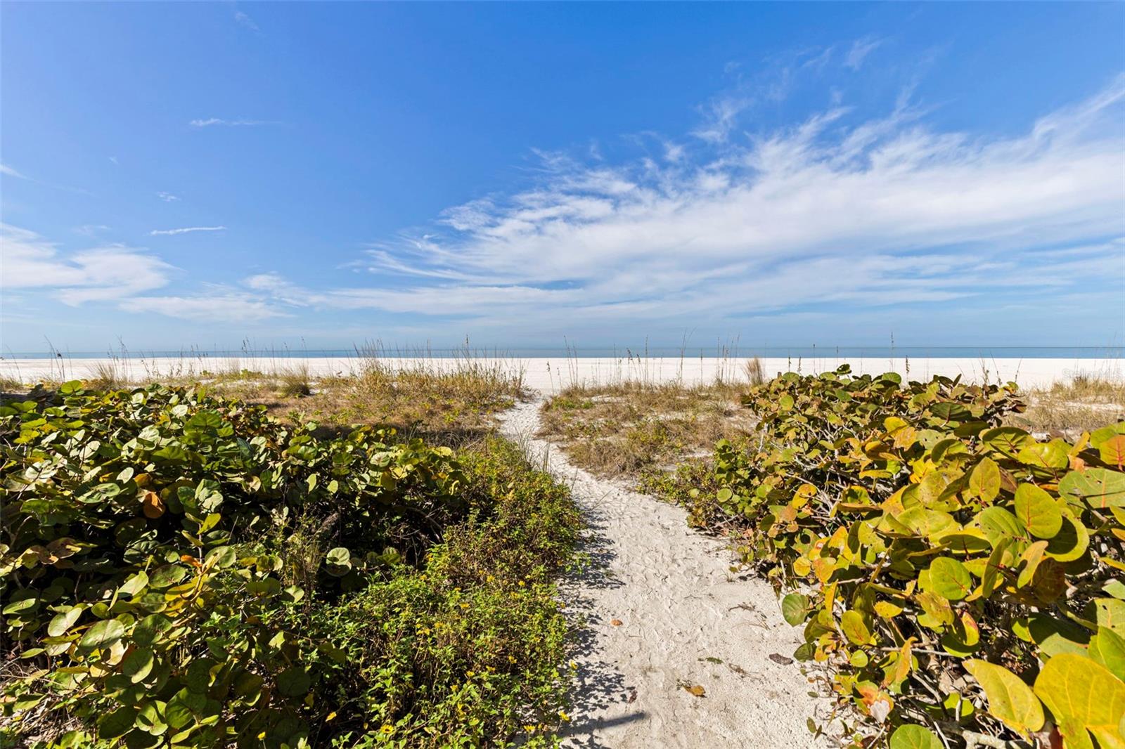 1350 GULF #704, CLEARWATER BEACH, FL, 33767