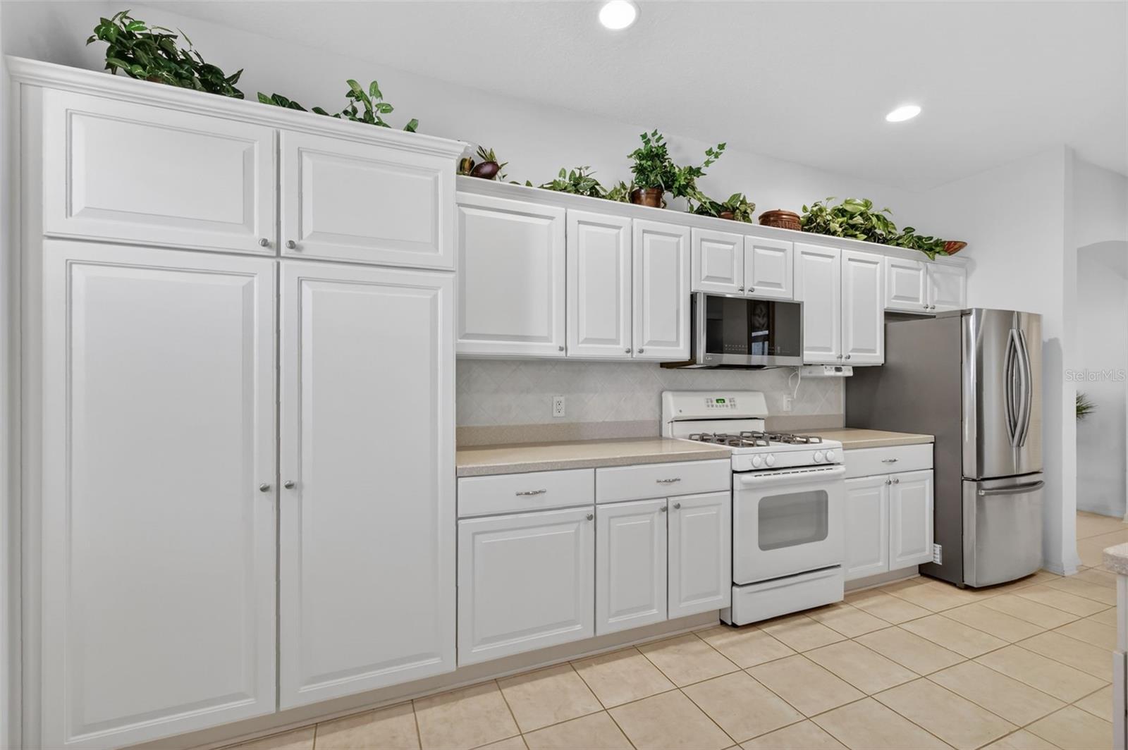 1970 HAGOOD LOOP, THE VILLAGES, FL, 32162