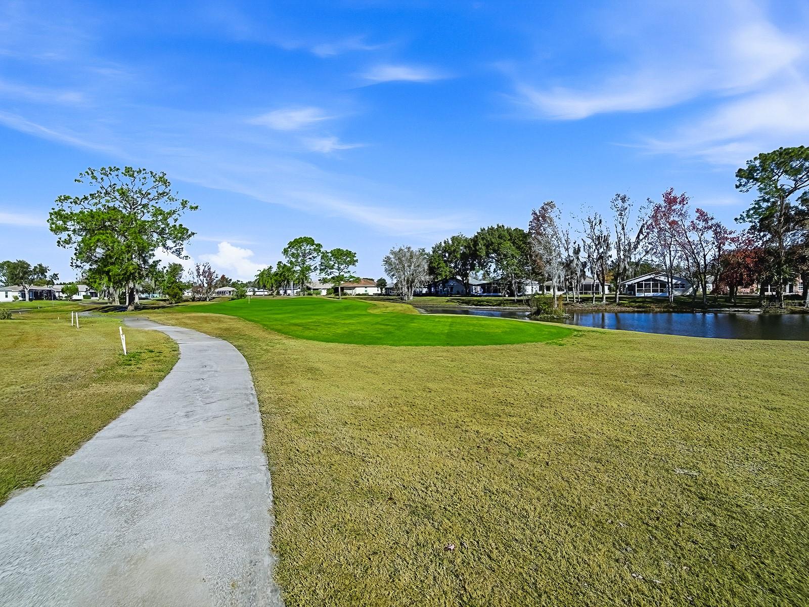 243 WILLOW BROOK DR, LEESBURG, FL, 34748