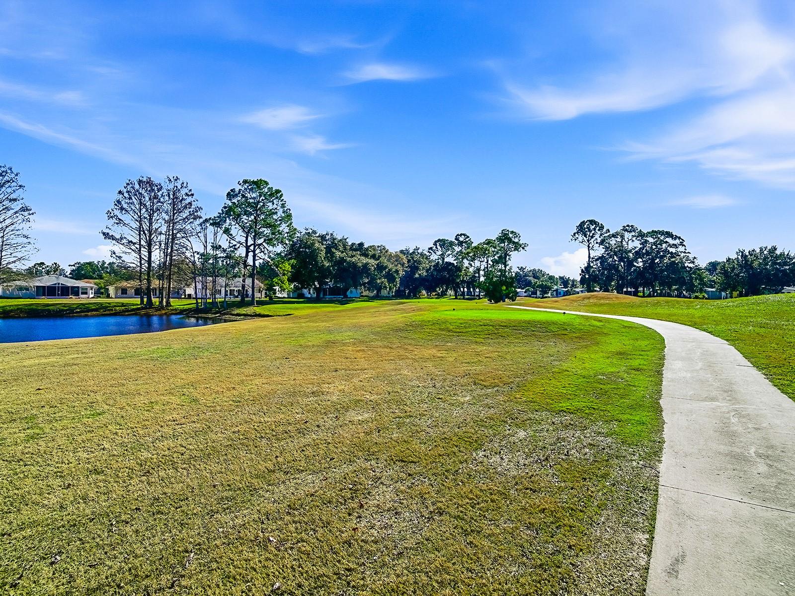 243 WILLOW BROOK DR, LEESBURG, FL, 34748