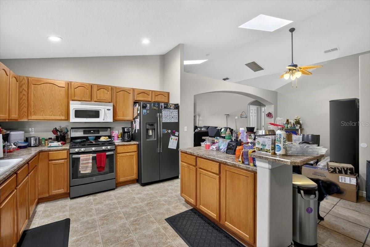 15732 HERON HILL ST, CLERMONT, FL, 34714