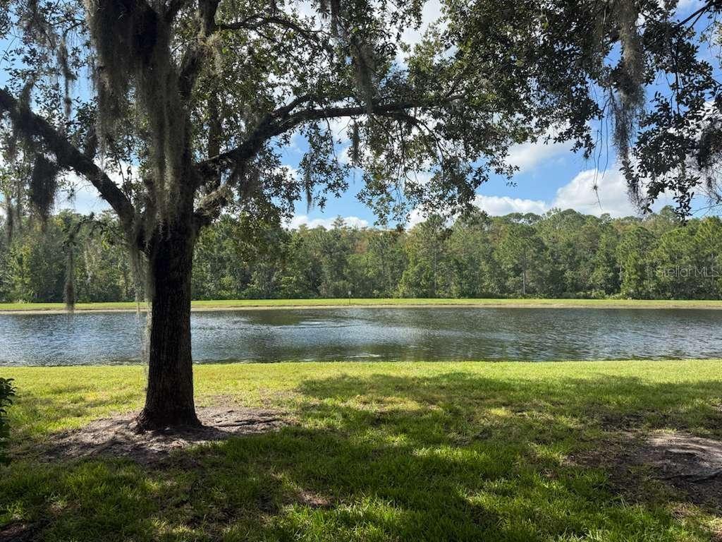 3460 VICTORIA PINES DR #160, ORLANDO, FL, 32829