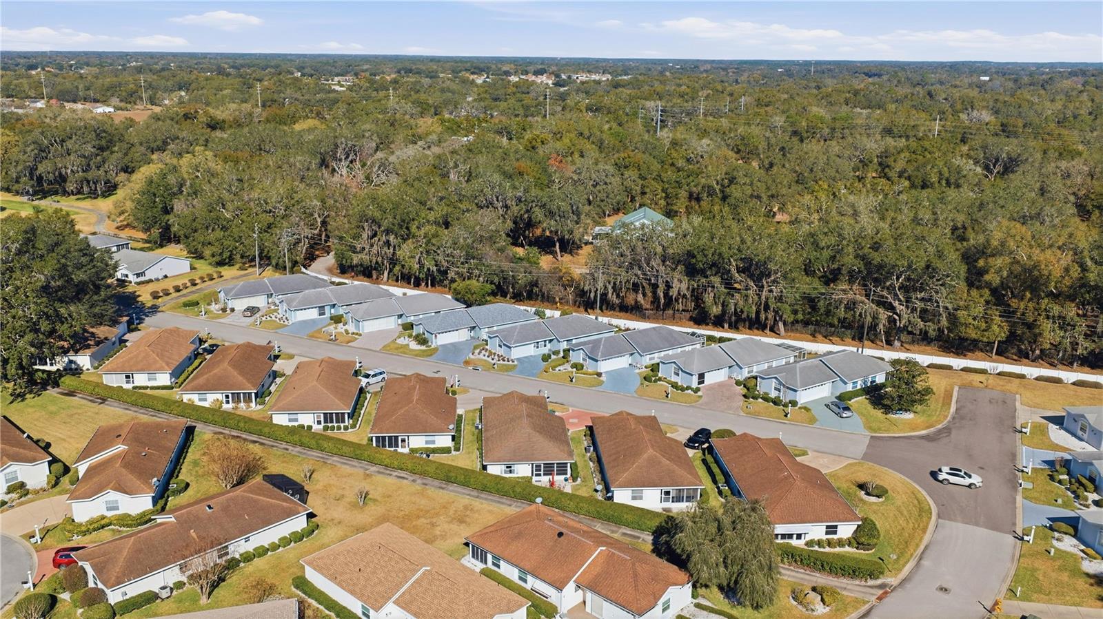 10034 SE 175TH ST, SUMMERFIELD, FL, 34491