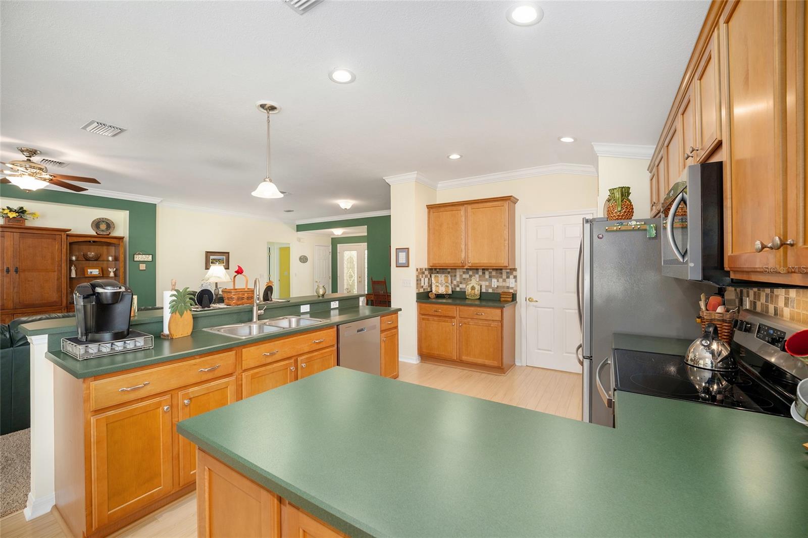 12309 SE 92ND COURT RD, SUMMERFIELD, FL, 34491