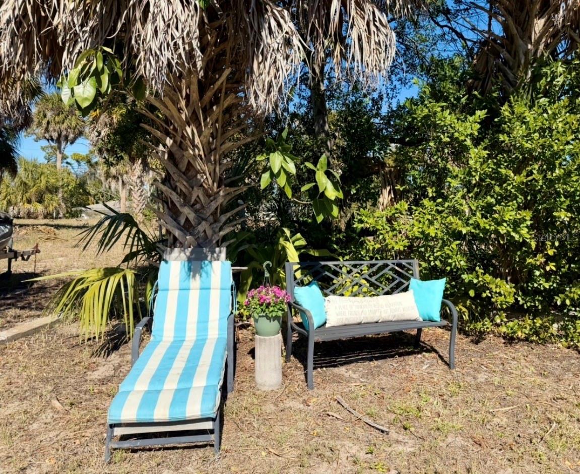 It could be YOU laying here and enjoying our beautful Florida sunshine