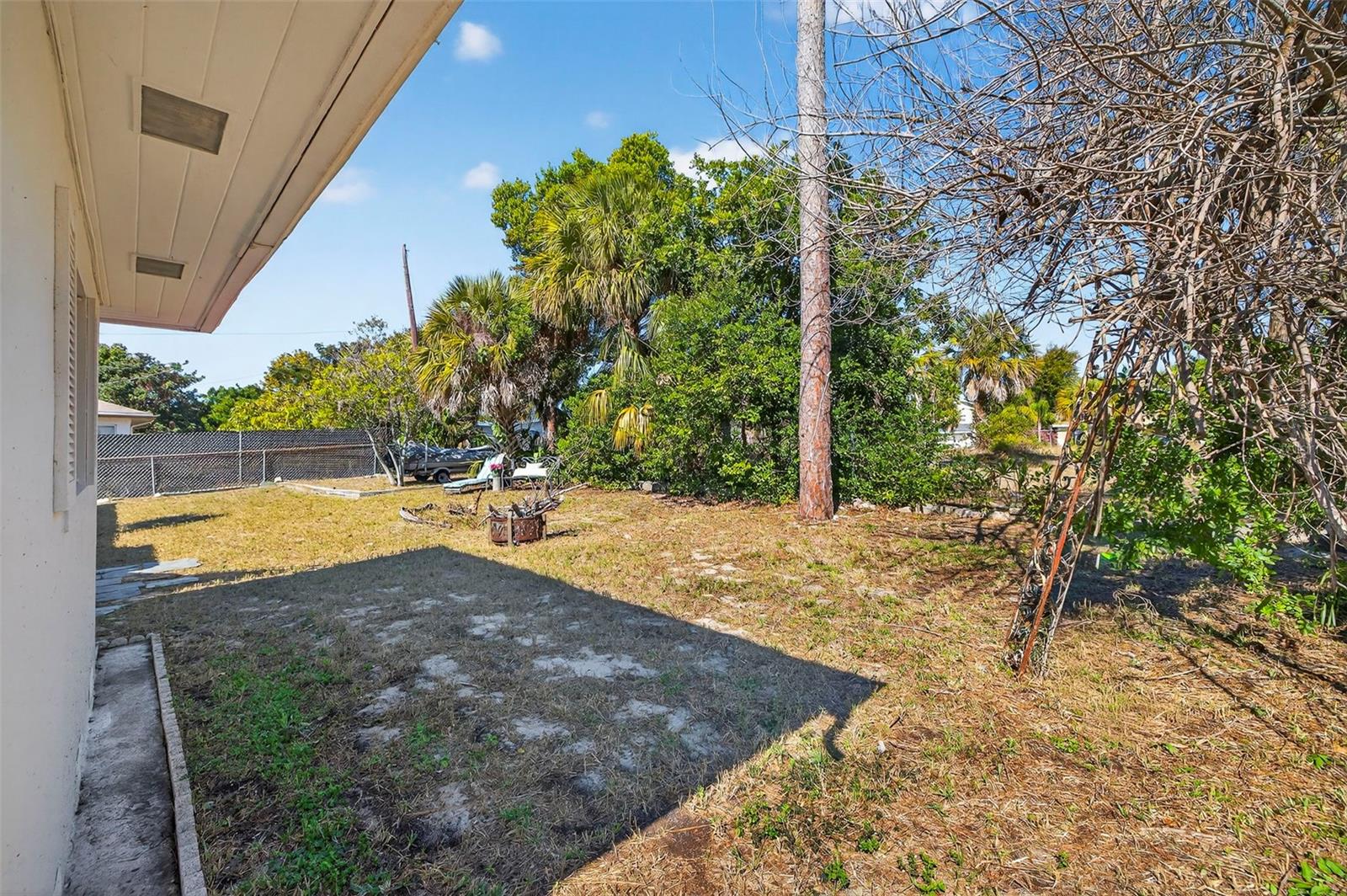 Another view of the back yard