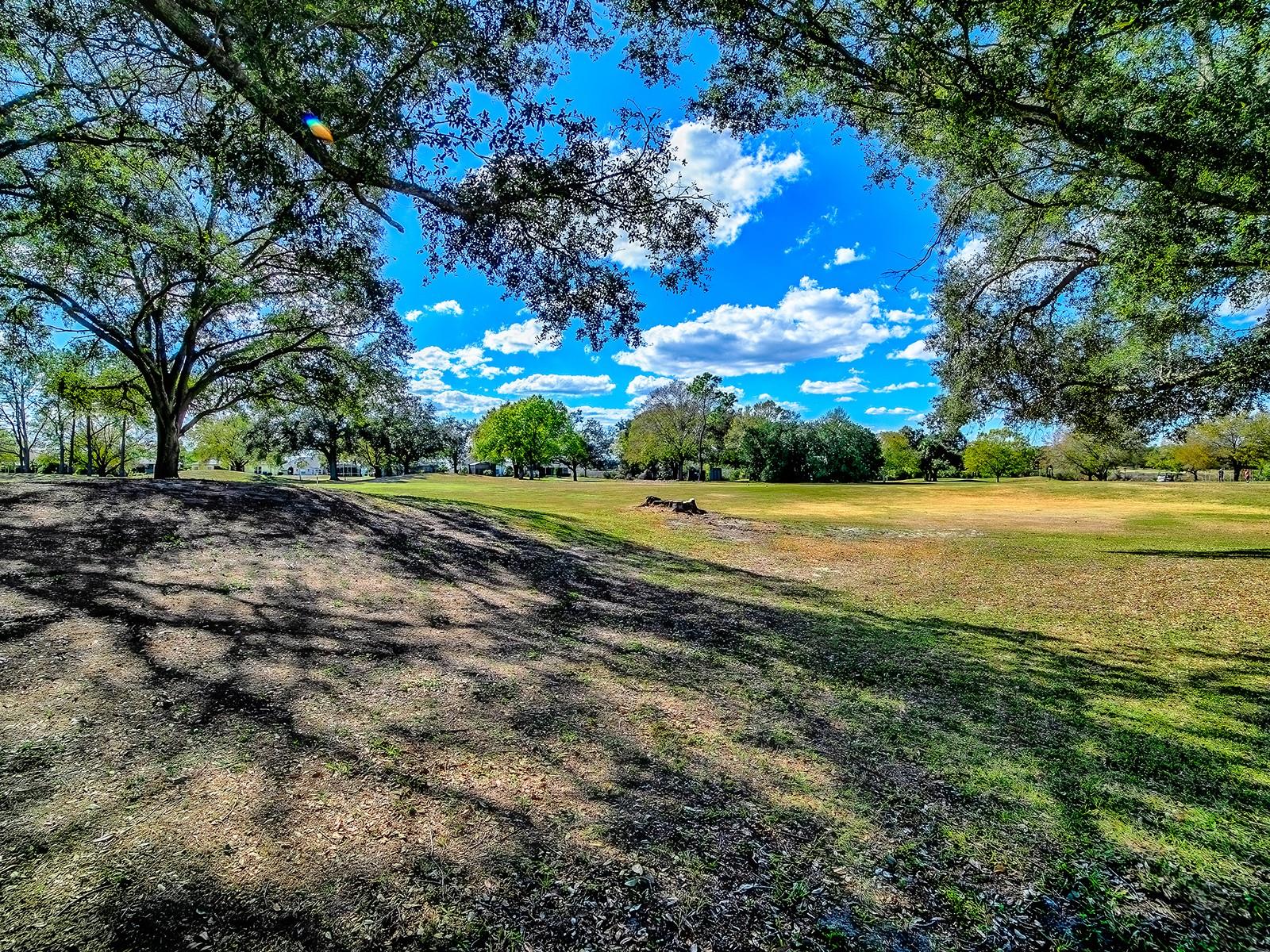 24239 BELLE MEDE DR, LEESBURG, FL, 34748